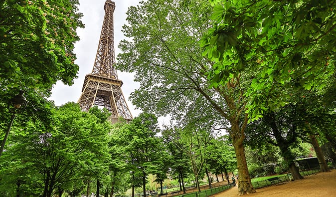 埃菲尔铁塔从巴黎的香榭丽舍附近的绿色植物中伸出来