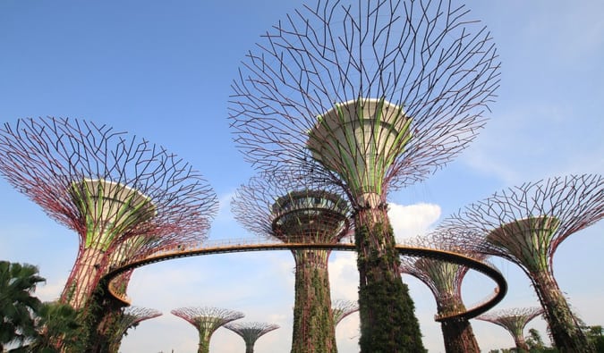 新加坡滨海湾花园的巨型超级树