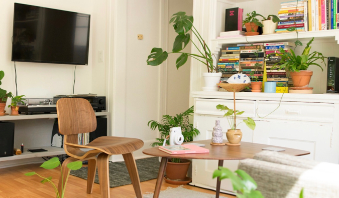 一个舒适的爱彼迎公寓租赁，有很多植物和灯光