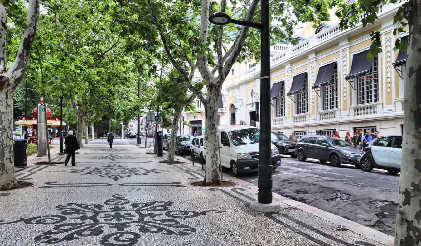 葡萄牙里斯本，一条宽阔的灰色石头街道，两旁树木环绕