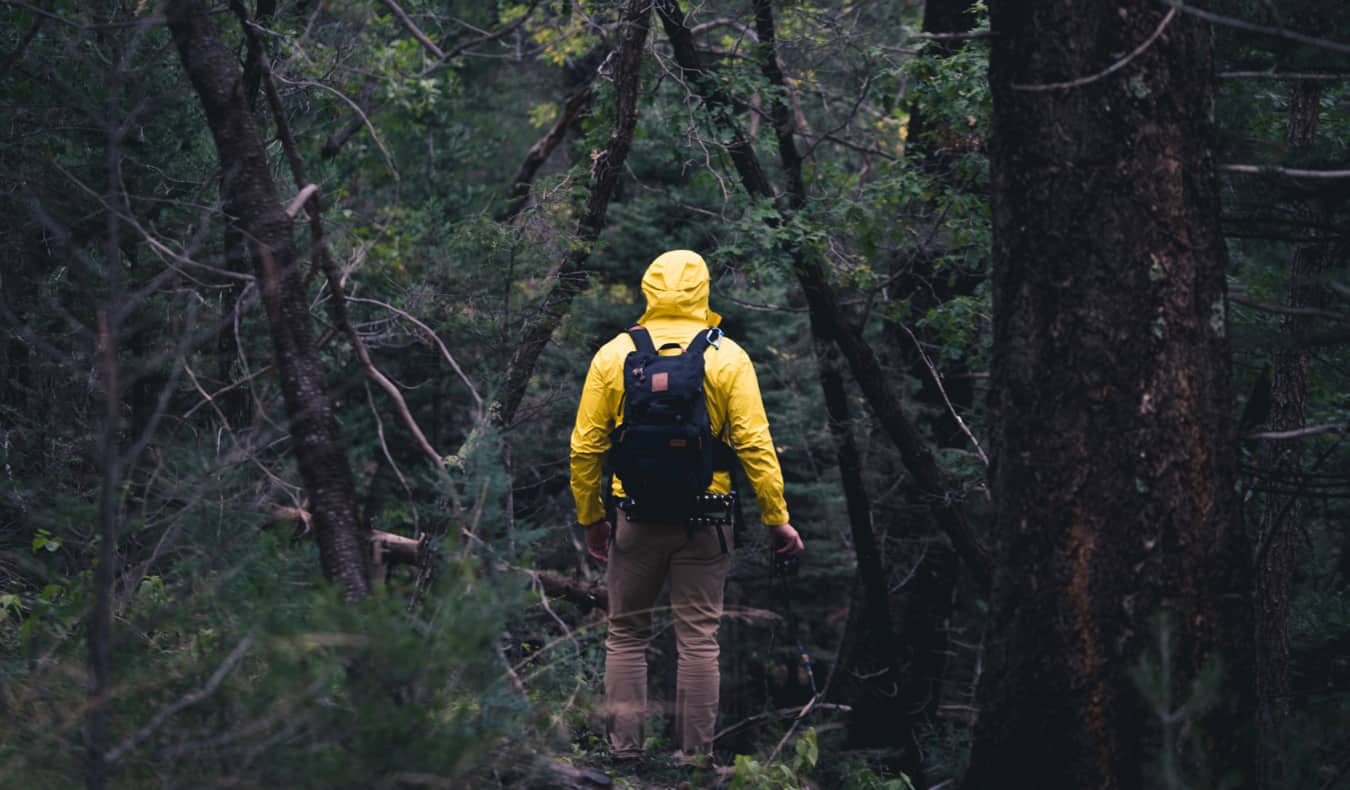 Man hiking in a forest
