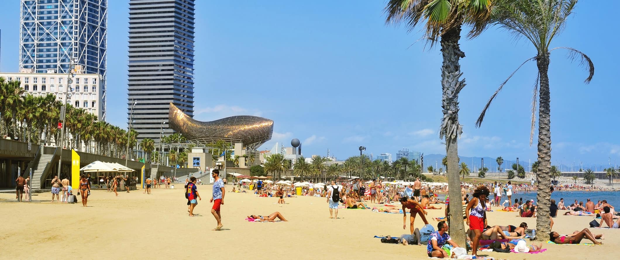 夏天，人们在西班牙巴塞罗那著名的巴塞罗那海滩上放松