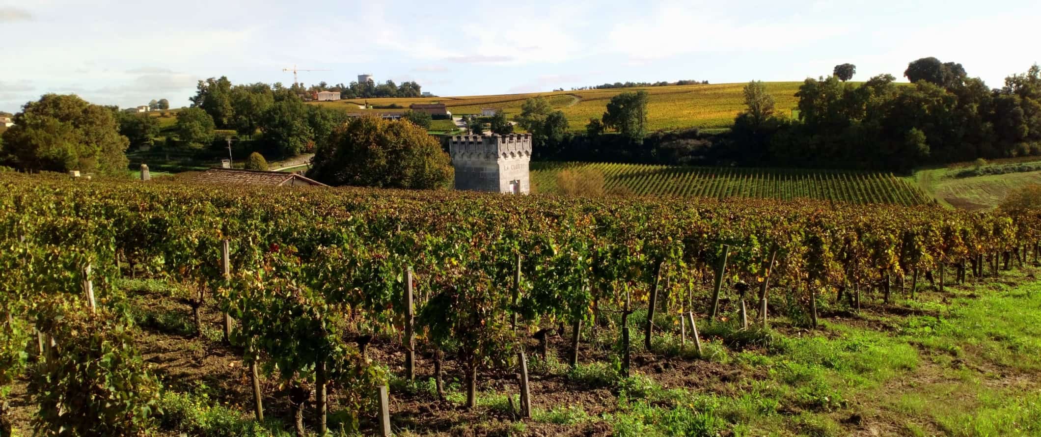 法国圣埃米利永的葡萄园、历史悠久的小城堡塔楼和连绵起伏的丘陵