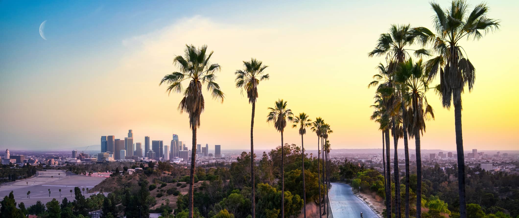 夕阳下的洛杉矶，背景是高耸的建筑，前景是棕榈树