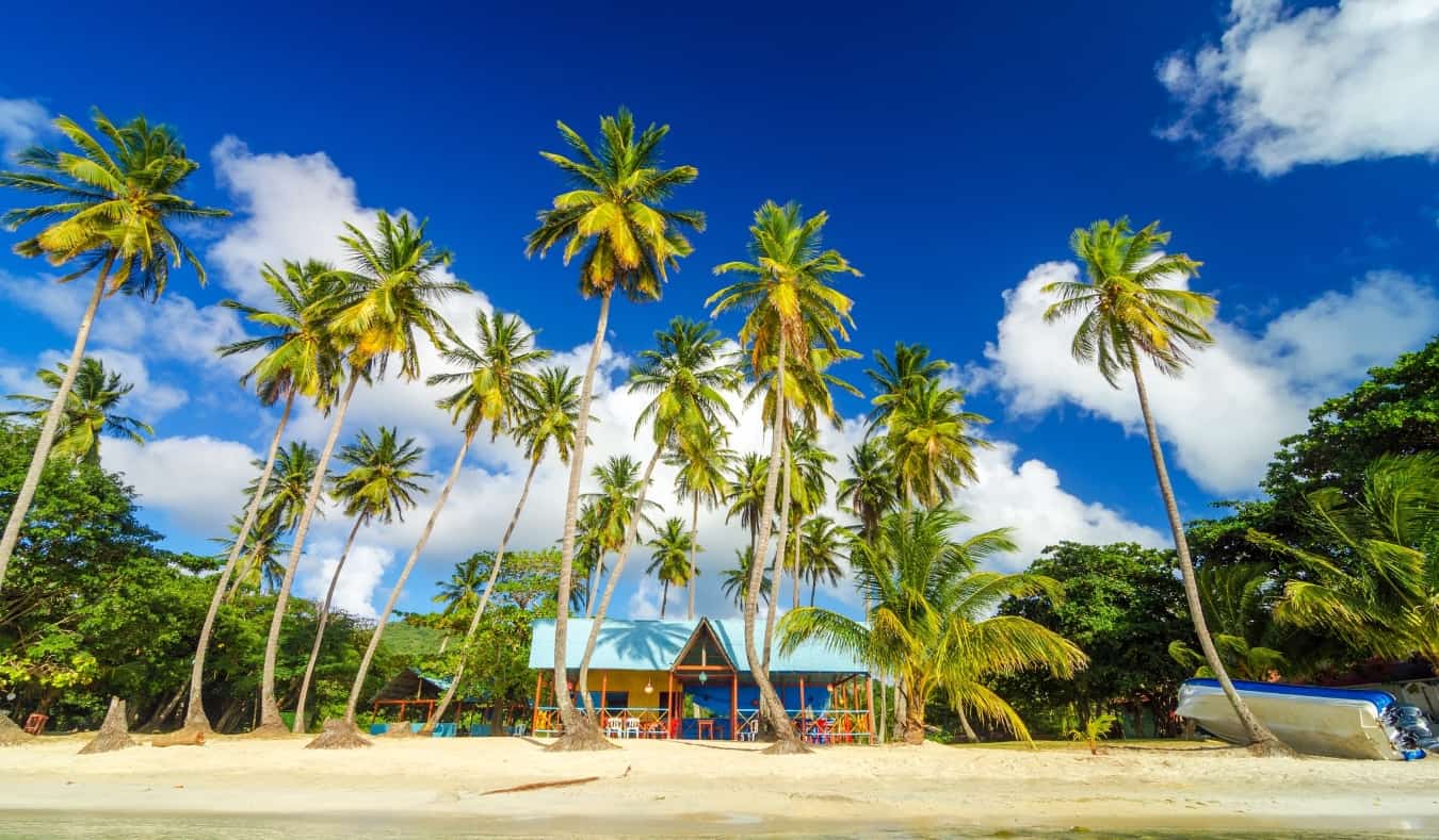 Colorful shack on a beach surrounded by palm trees in Providencia, Colombia