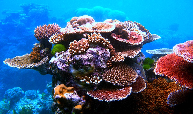澳大利亚大堡礁的蓝色海水和咸水