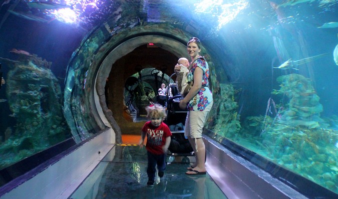 Mom and kids in an aquarium tunnel surrounded by water and fish