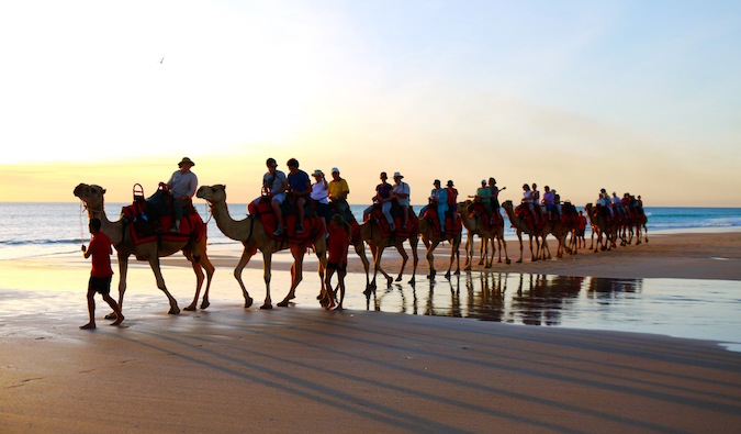 在摩洛哥，一队骆驼沿着海滩行走
