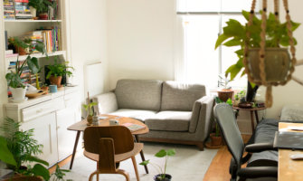 阳光明媚的公寓，舒适的沙发和绿色植物