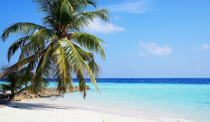 热带岛屿上白色沙滩上的一棵棕榈树