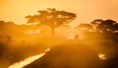 驾驶入日落的徒步旅行队吉普车在非洲的一条土路
