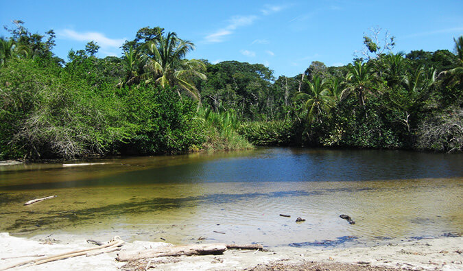 湖在Cahuita国家公园