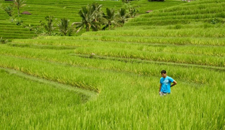 独自旅行时，游牧民族马特走在越南的稻田里