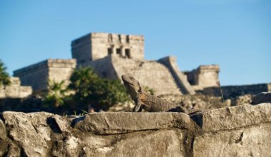 一只鬣蜥坐在图卢姆的废墟上，背景中有更多的废墟