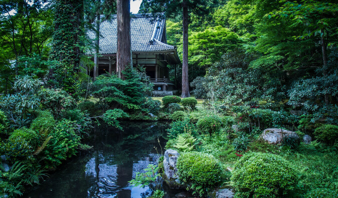 日本京都的花园绿树成荫，小河和房子大都隐藏在背后的大树后面