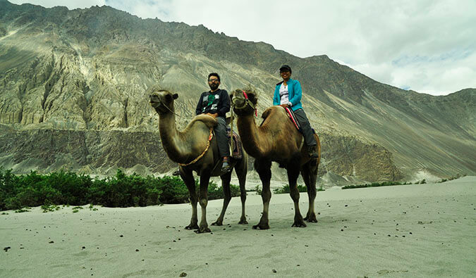 男人和一个女人坐在两座骆驼上
