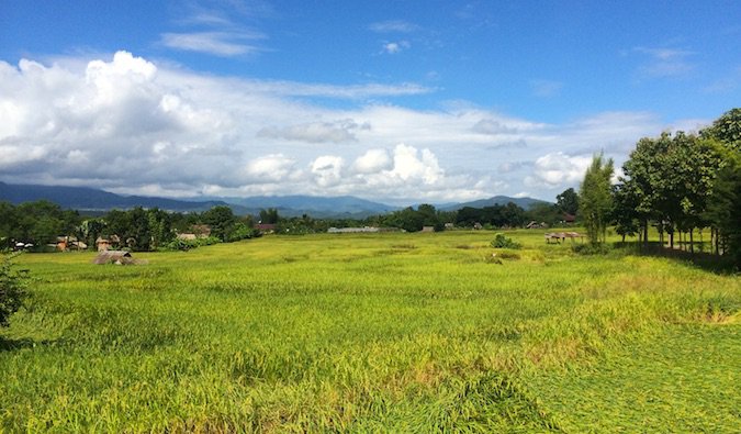 泰国帕伊的一片稻田