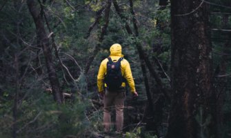 一个人在一个浓密的森林里徒步旅行
