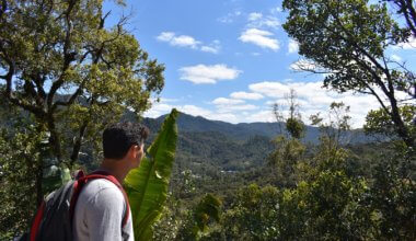 Nomadic马特看着丛林在马达加斯加