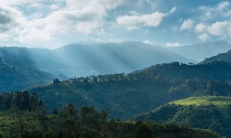 绿色山区风景在哥伦比亚乡下