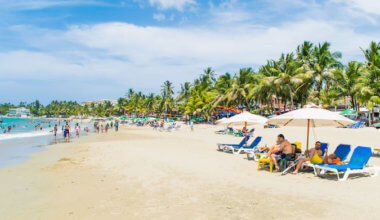 人们闲逛在繁忙的海滩内衬用棕榈树