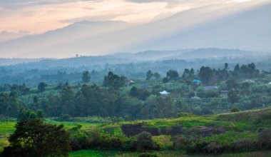 俯瞰乌干达郁郁葱葱的森林和丛林的景色