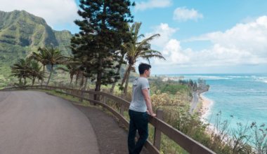 在夏威夷的诺玛迪奇亚光望着水