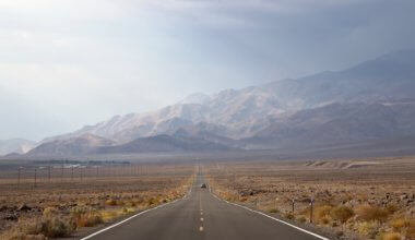 一辆汽车行驶在美国死亡谷的公路上