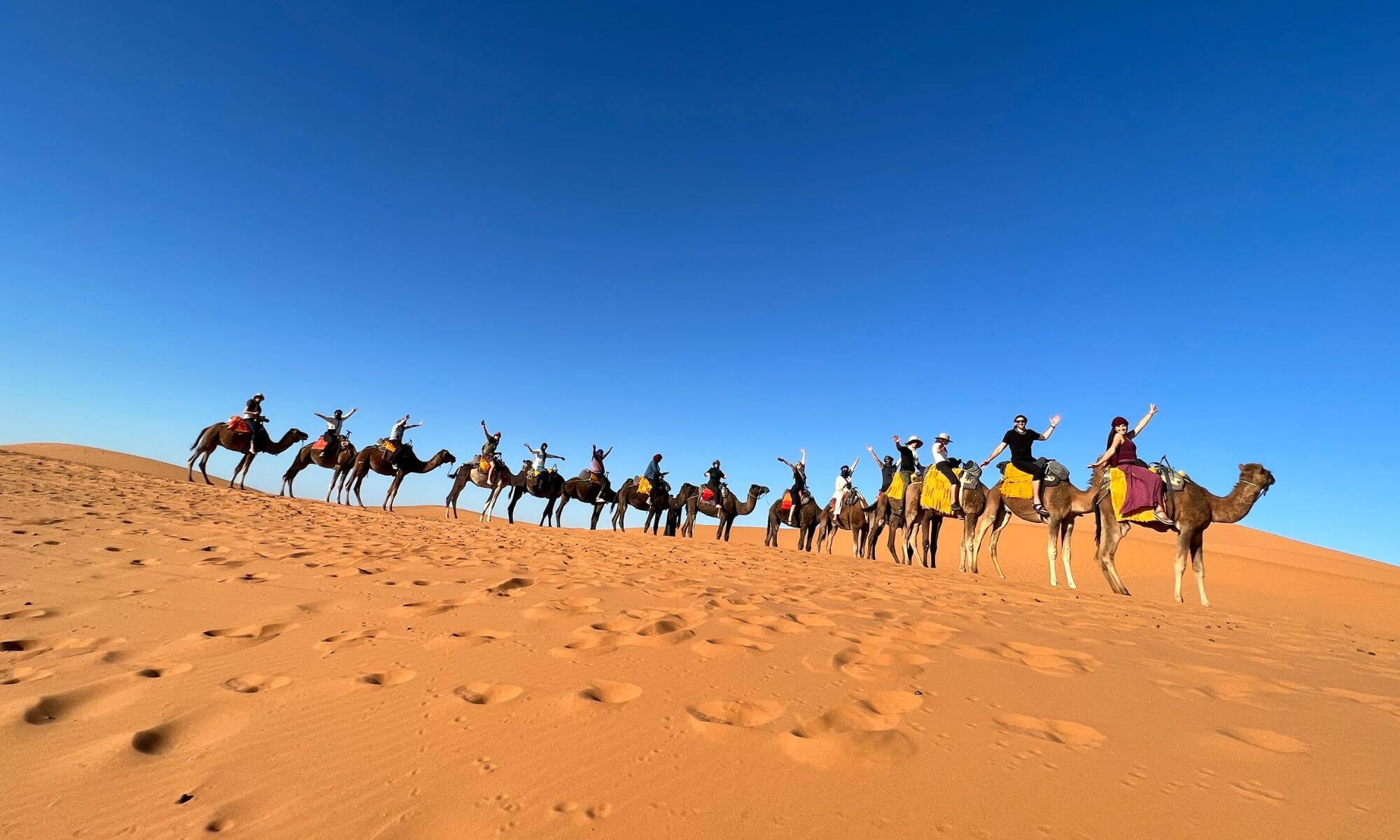在摩洛哥，游牧网络旅游的参与者骑着骆驼