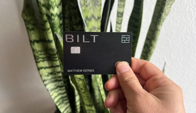 Matt's Bilt Rewards Mastercard被挡在一株蛇形植物前
